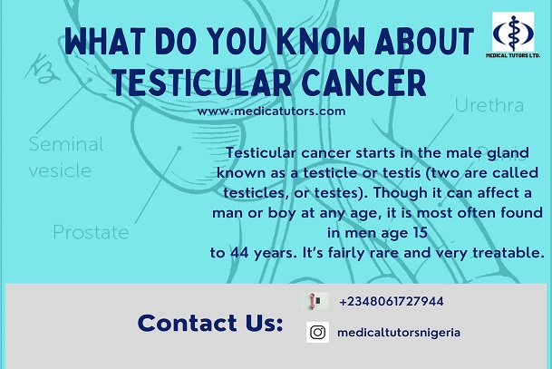 Testicular cancer; scrotum; testes; cancer of the testis