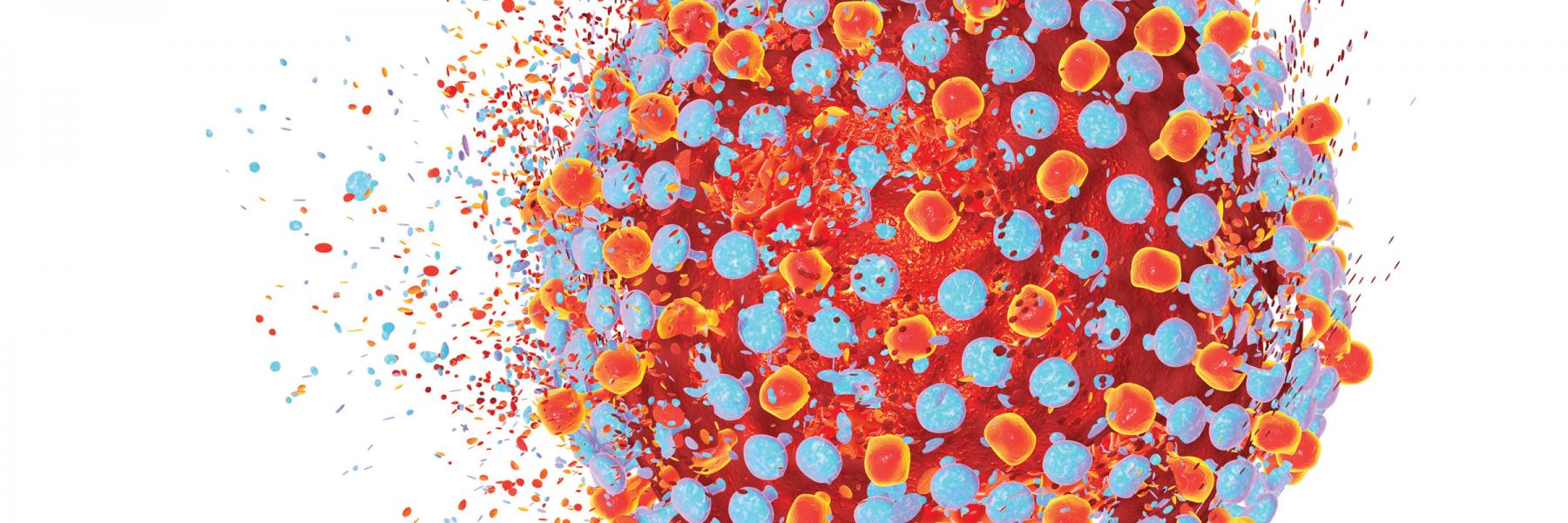 Hepatitis C Virus; HCV