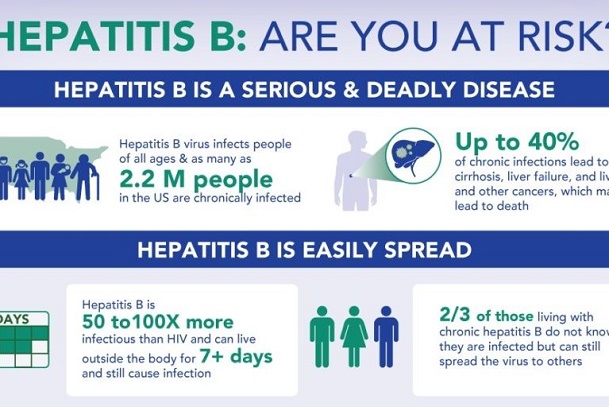 Hepatitis B Virus