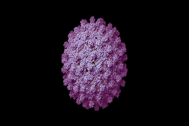 Hepatitis B Investigation; Hepatitis B Treatment