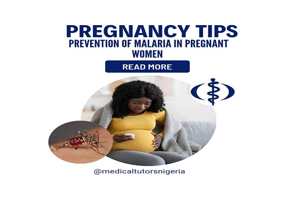 Malaria in Pregnancy; Malaria in pregnant women; prevention of malaria in pregnant women; preventing malaria in pregnancy