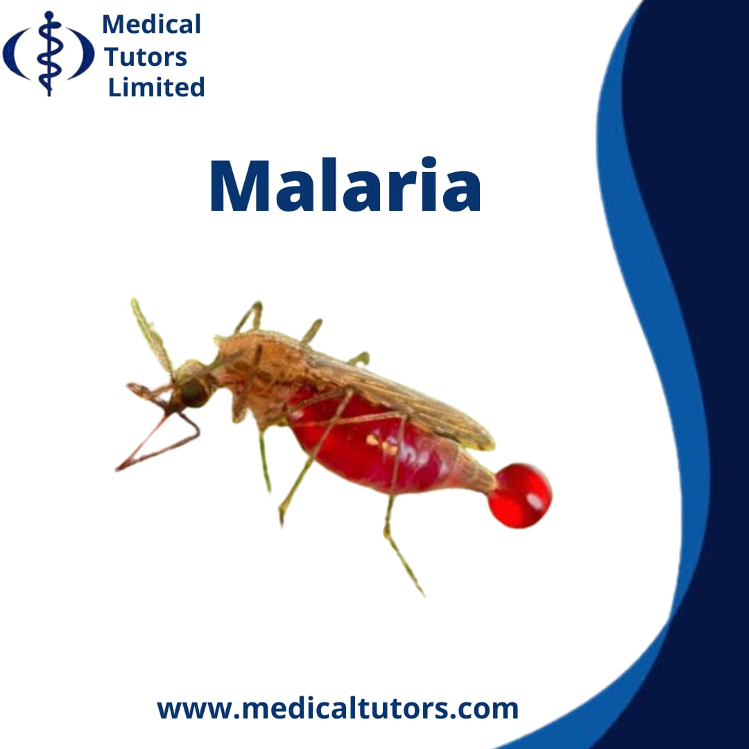Malaria Overview; what is malaria?; 