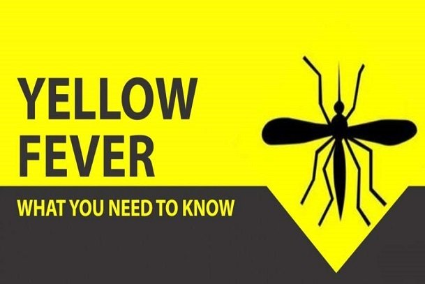 Yellow fever; what is yellow fever; prevention of yellow fever