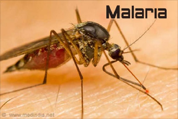 malaria,malaria symptoms,what is malaria,malaria treatment,causes of malaria,malaria vaccine,malaria parasite,prevention of malaria,malaria disease,signs of malaria,what causes malaria,malaria life cycle,malaria fever,malaria prophylaxis,signs and symptom