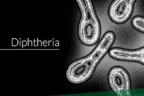 diphtheria, symptoms of diphtheria,meningitis,tuberculosis,malaria,influenza,measles,smallpox,leptospirosis,leishmaniasis,plague,histoplasmosis,lassa virus,brucellosis,,coccidioidomycosis,neurocysticercosis,cysticercosis